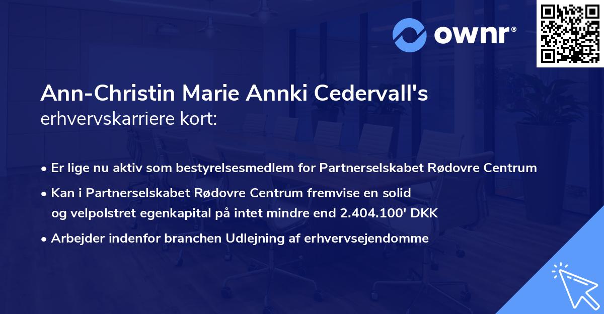 Ann-Christin Marie Annki Cedervall's erhvervskarriere kort