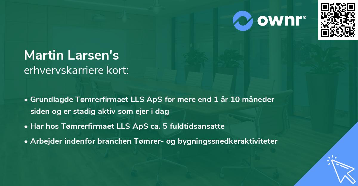 Martin Larsen's erhvervskarriere kort