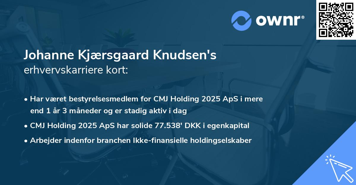 Johanne Kjærsgaard Knudsen's erhvervskarriere kort