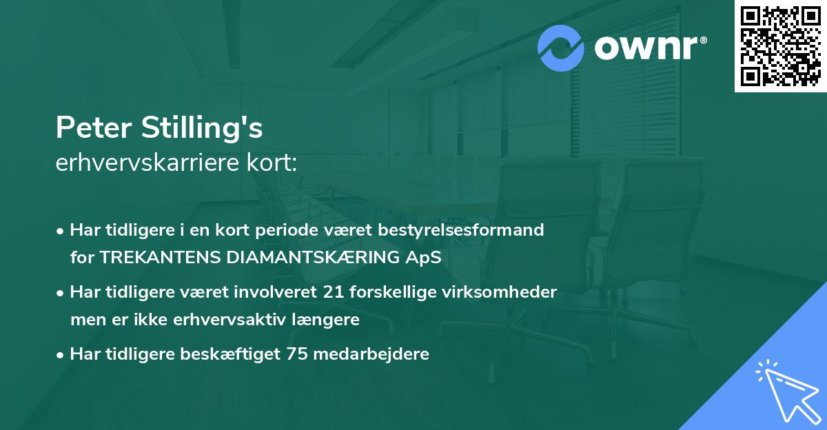 Peter Stilling's erhvervskarriere kort
