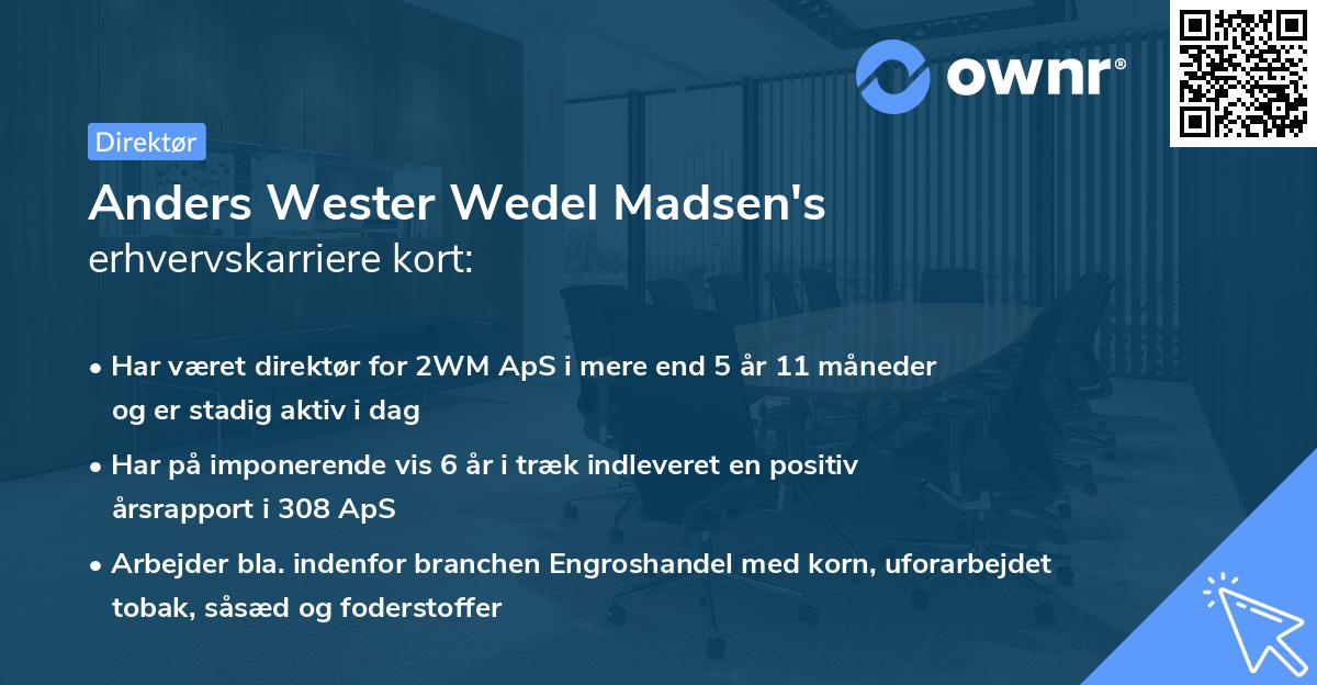 Anders Wester Wedel Madsen's erhvervskarriere kort
