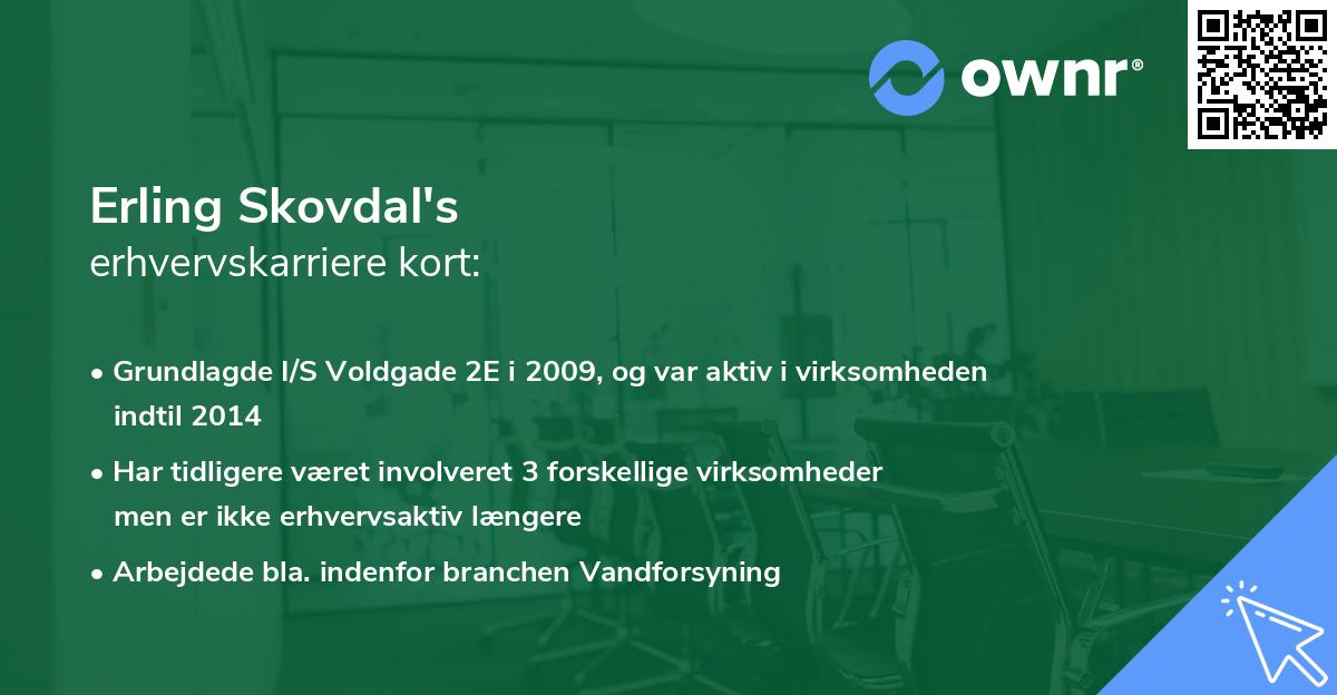 Erling Skovdal's erhvervskarriere kort