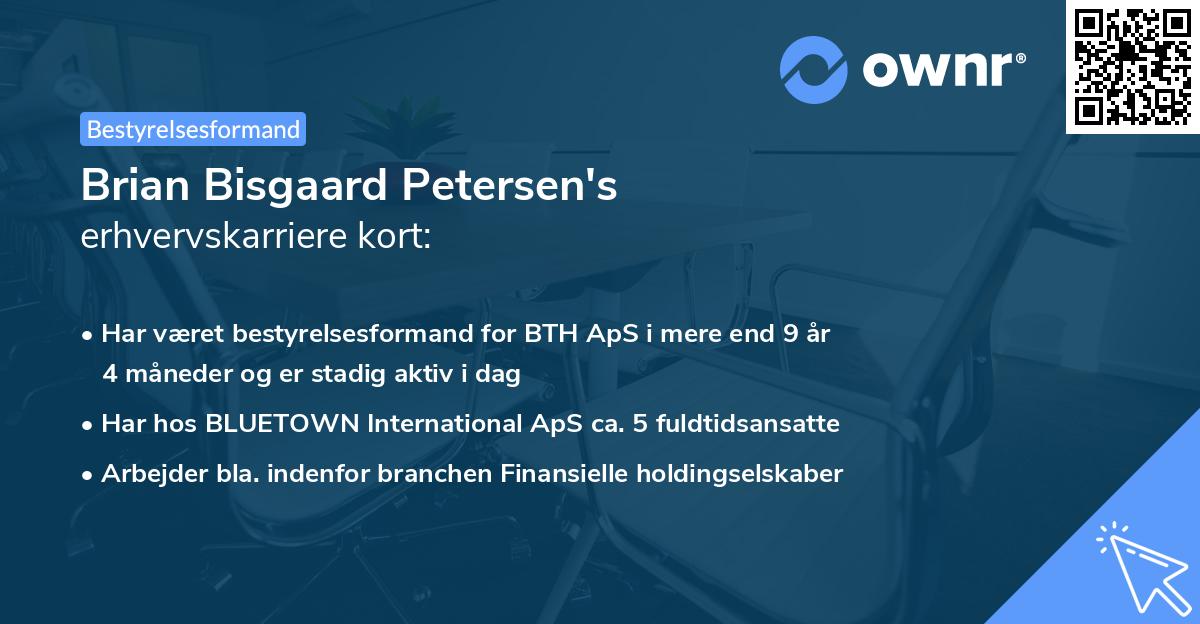 Brian Bisgaard Petersen's erhvervskarriere kort