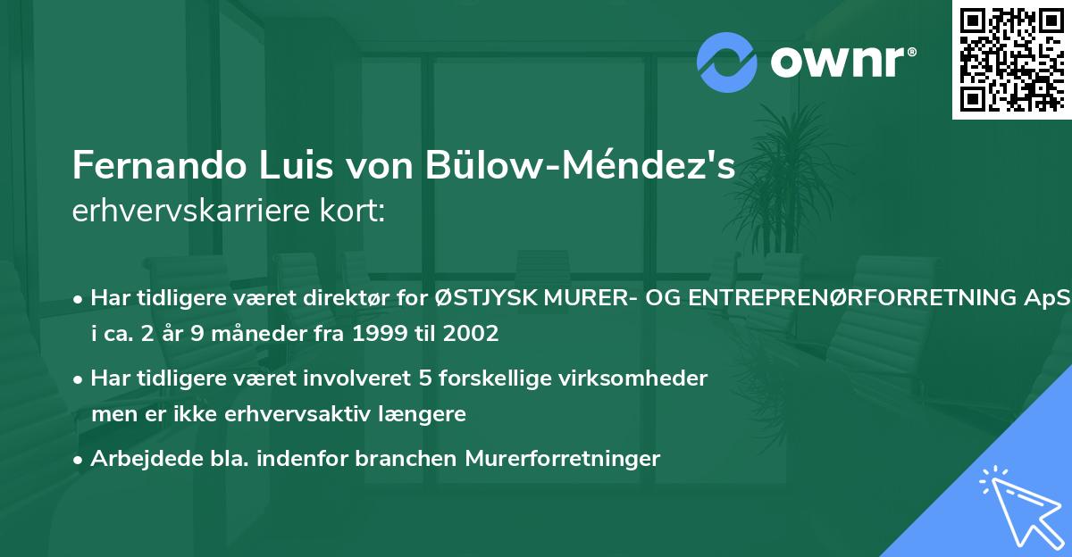 Fernando Luis von Bülow-Méndez's erhvervskarriere kort