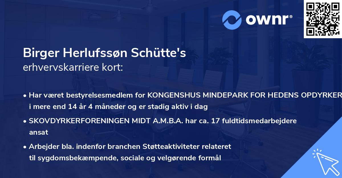 Birger Herlufssøn Schütte's erhvervskarriere kort