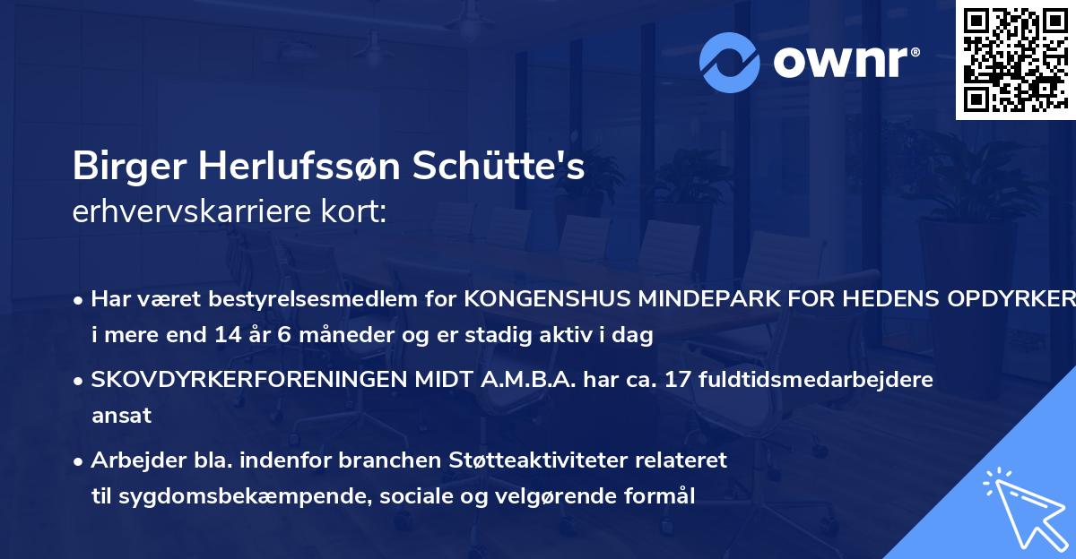 Birger Herlufssøn Schütte's erhvervskarriere kort