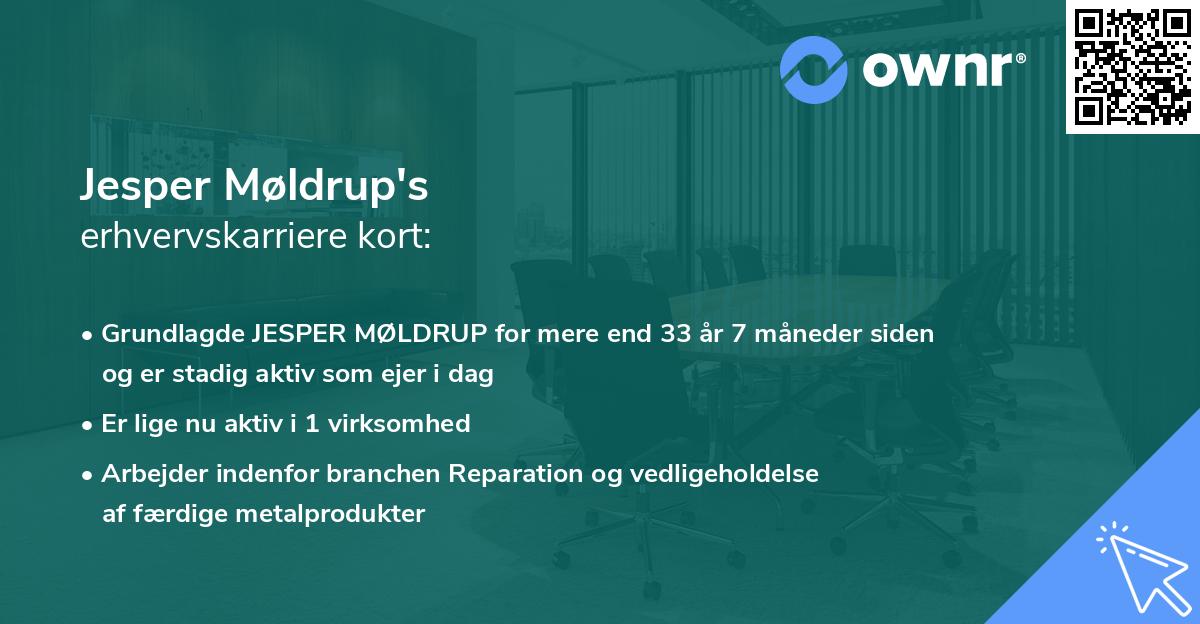 Jesper Møldrup's erhvervskarriere kort