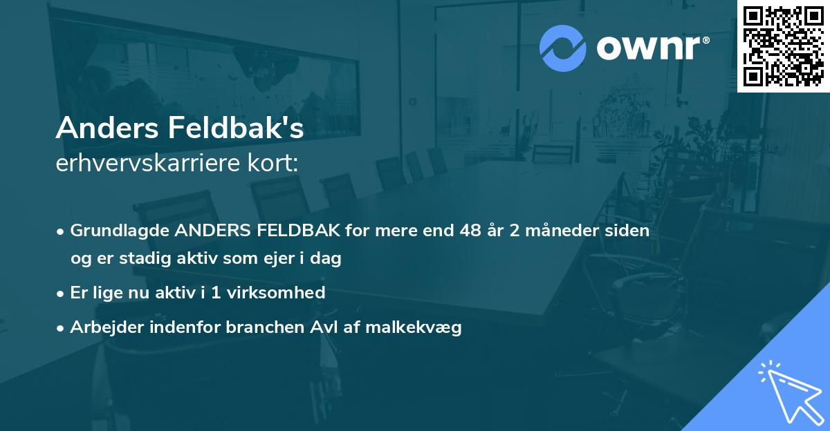 Anders Feldbak's erhvervskarriere kort