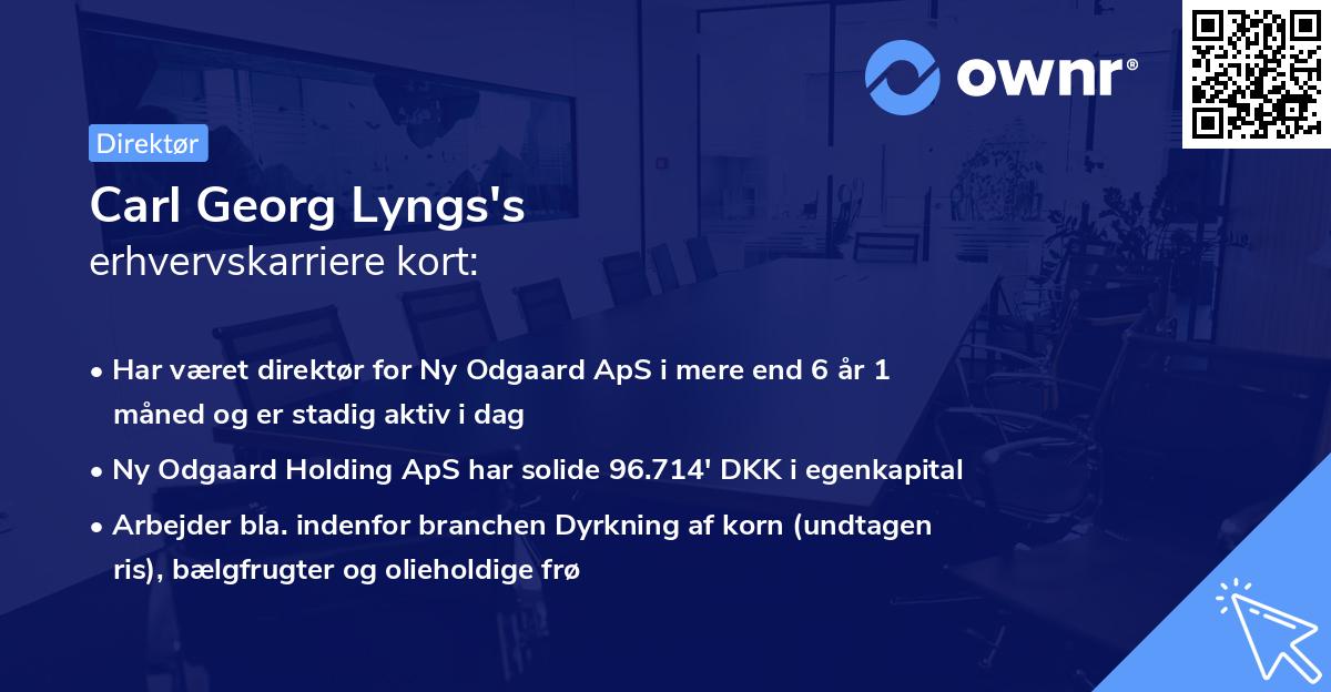 Carl Georg Lyngs's erhvervskarriere kort