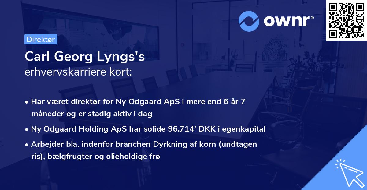 Carl Georg Lyngs's erhvervskarriere kort