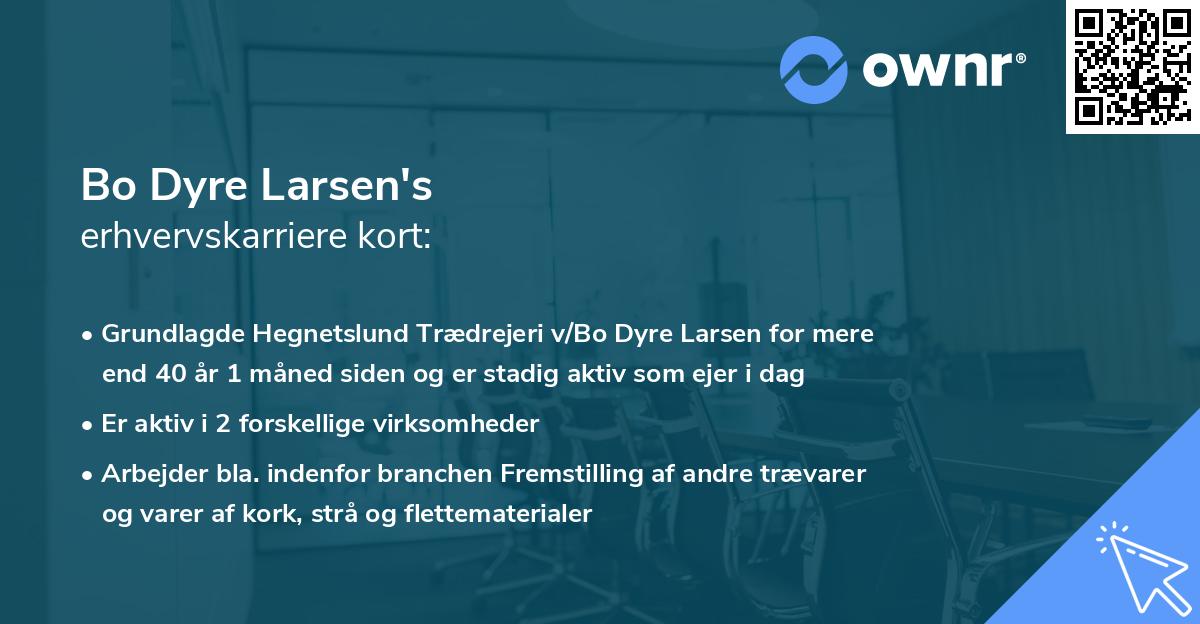 Bo Dyre Larsen's erhvervskarriere kort