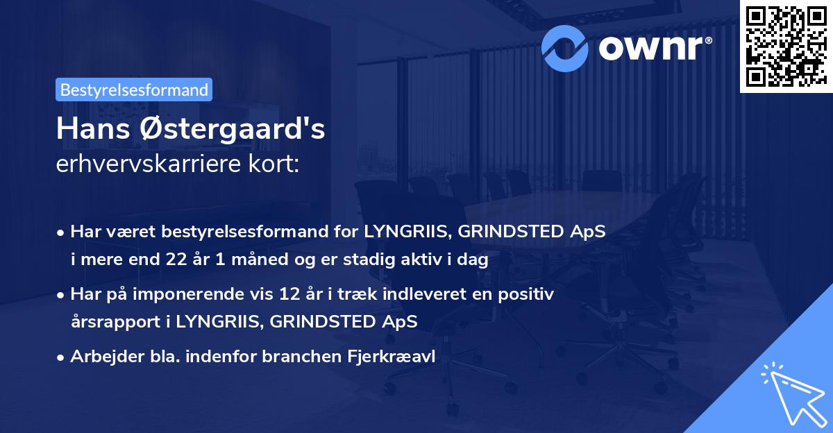 Hans Østergaard's erhvervskarriere kort
