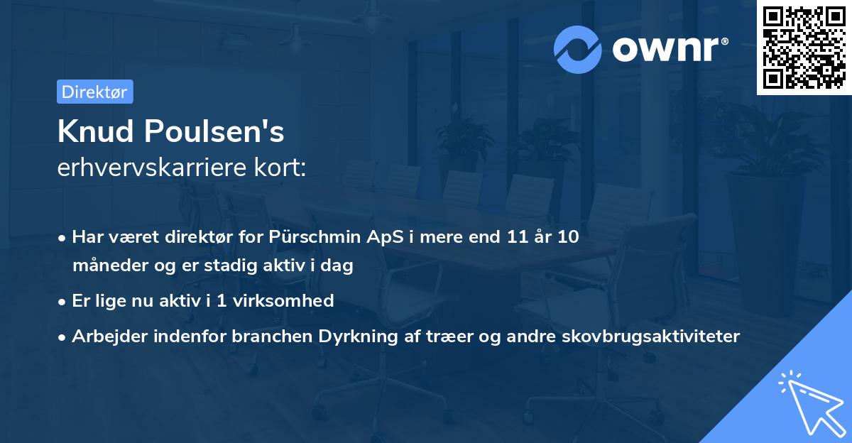 Knud Poulsen's erhvervskarriere kort