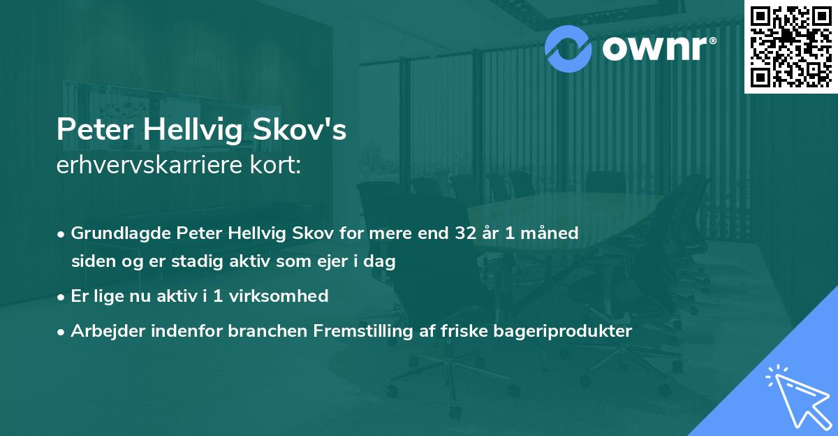 Peter Hellvig Skov's erhvervskarriere kort