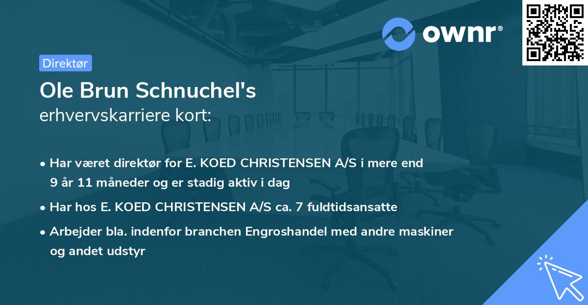 Ole Brun Schnuchel's erhvervskarriere kort
