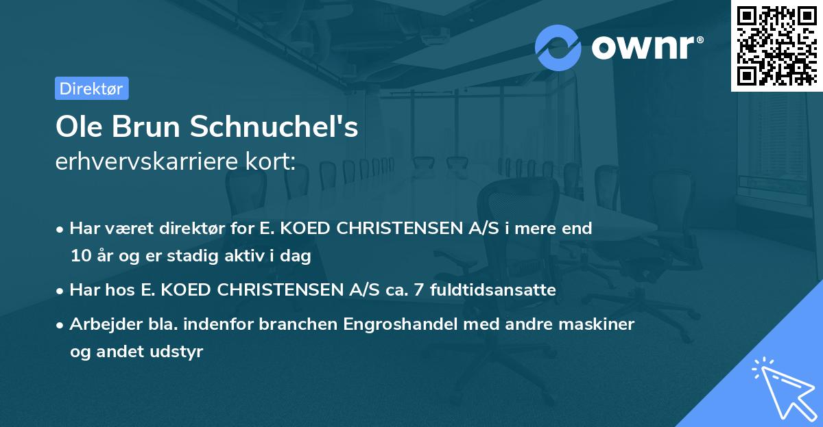 Ole Brun Schnuchel's erhvervskarriere kort