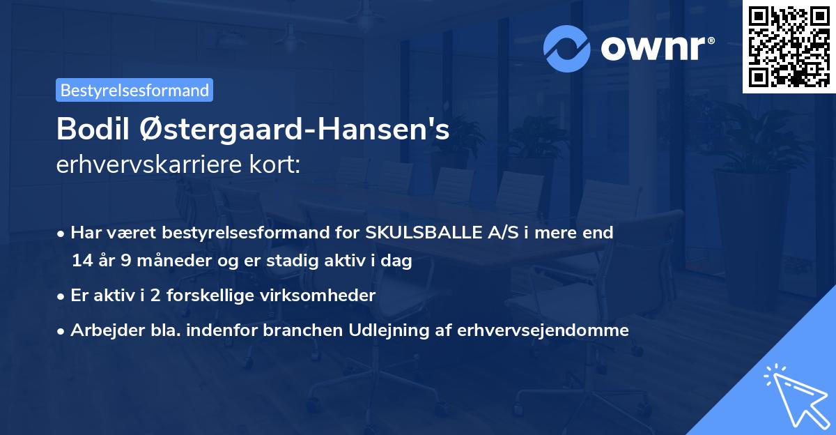 Bodil Østergaard-Hansen's erhvervskarriere kort