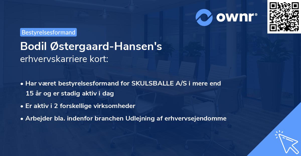 Bodil Østergaard-Hansen's erhvervskarriere kort