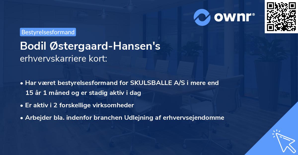 Bodil Østergaard-Hansen's erhvervskarriere kort