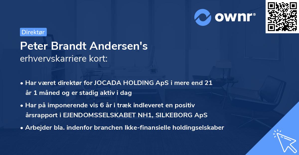 Peter Brandt Andersen's erhvervskarriere kort