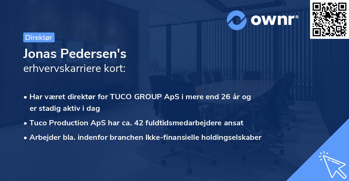 Jonas Pedersen's erhvervskarriere kort