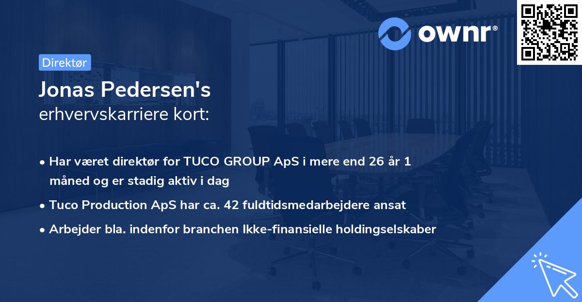 Jonas Pedersen's erhvervskarriere kort