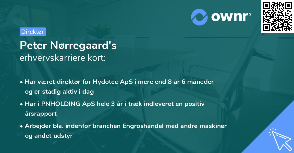 Peter Nørregaard's erhvervskarriere kort