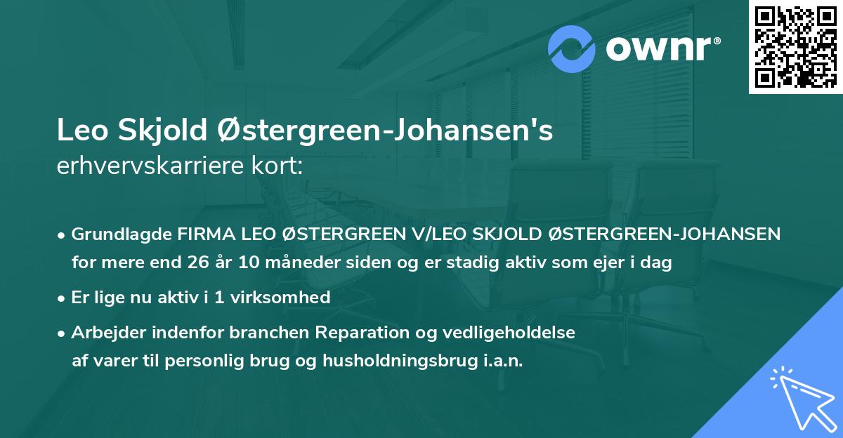 Leo Skjold Østergreen-Johansen's erhvervskarriere kort
