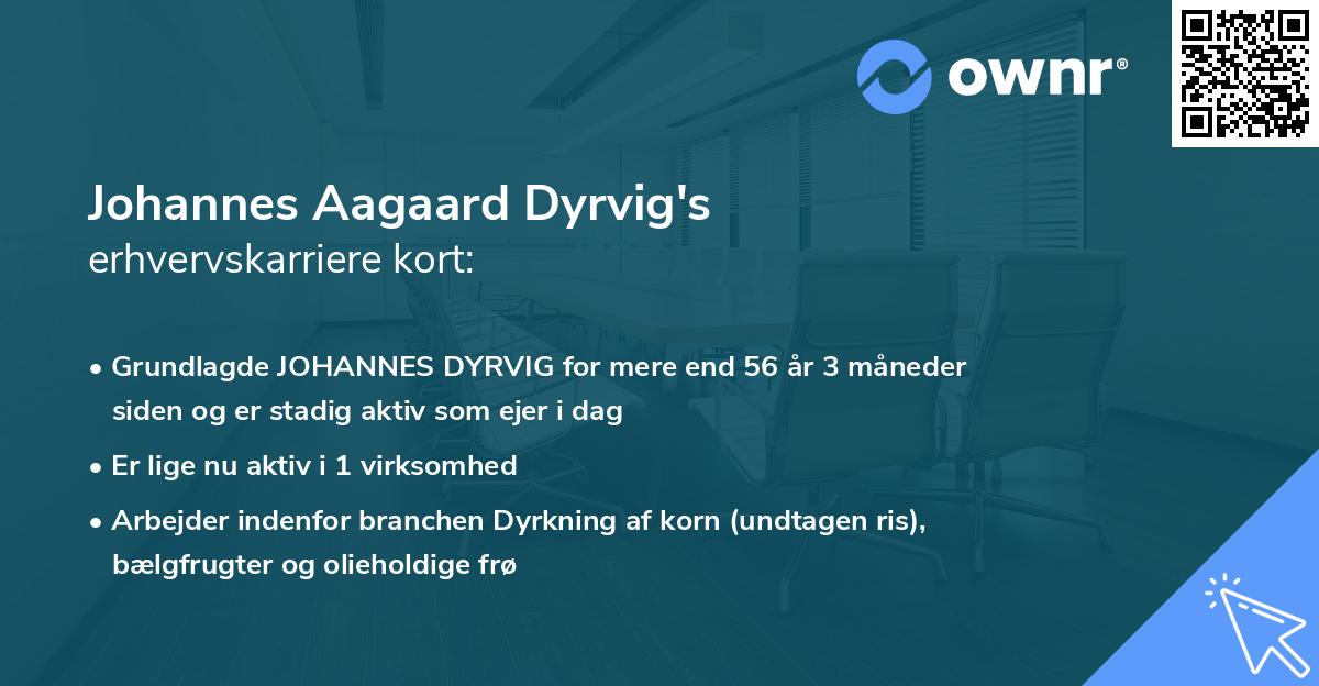 Johannes Aagaard Dyrvig's erhvervskarriere kort