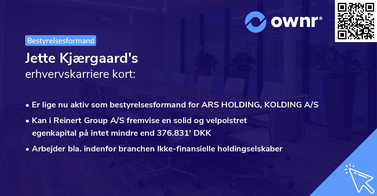 Jette Kjærgaard's erhvervskarriere kort