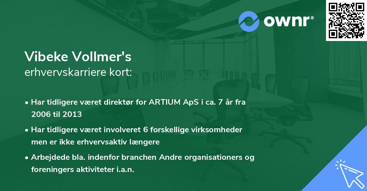 Vibeke Vollmer's erhvervskarriere kort