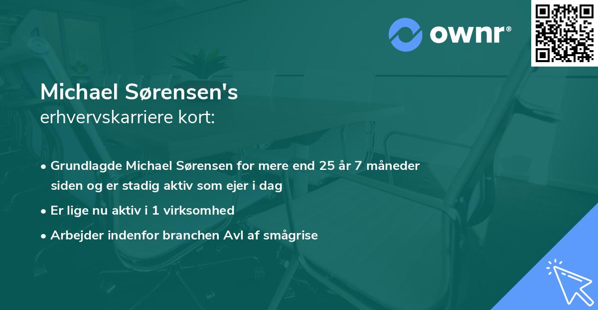 Michael Sørensen's erhvervskarriere kort