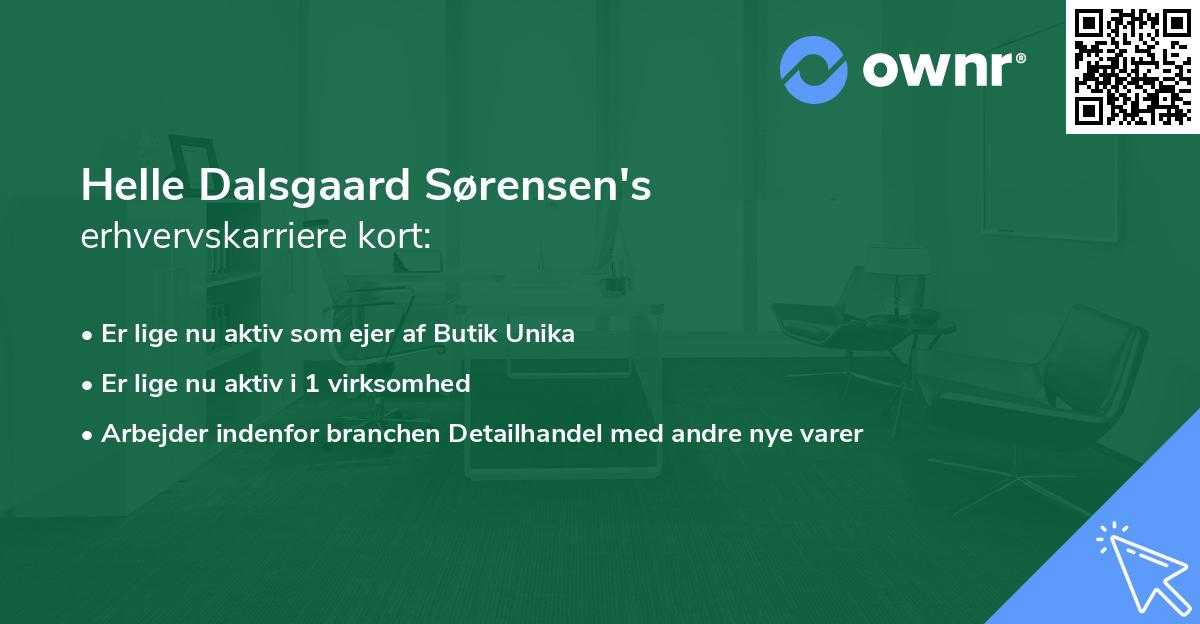 Helle Dalsgaard Sørensen's erhvervskarriere kort