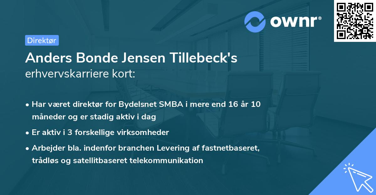 Anders Bonde Jensen Tillebeck's erhvervskarriere kort