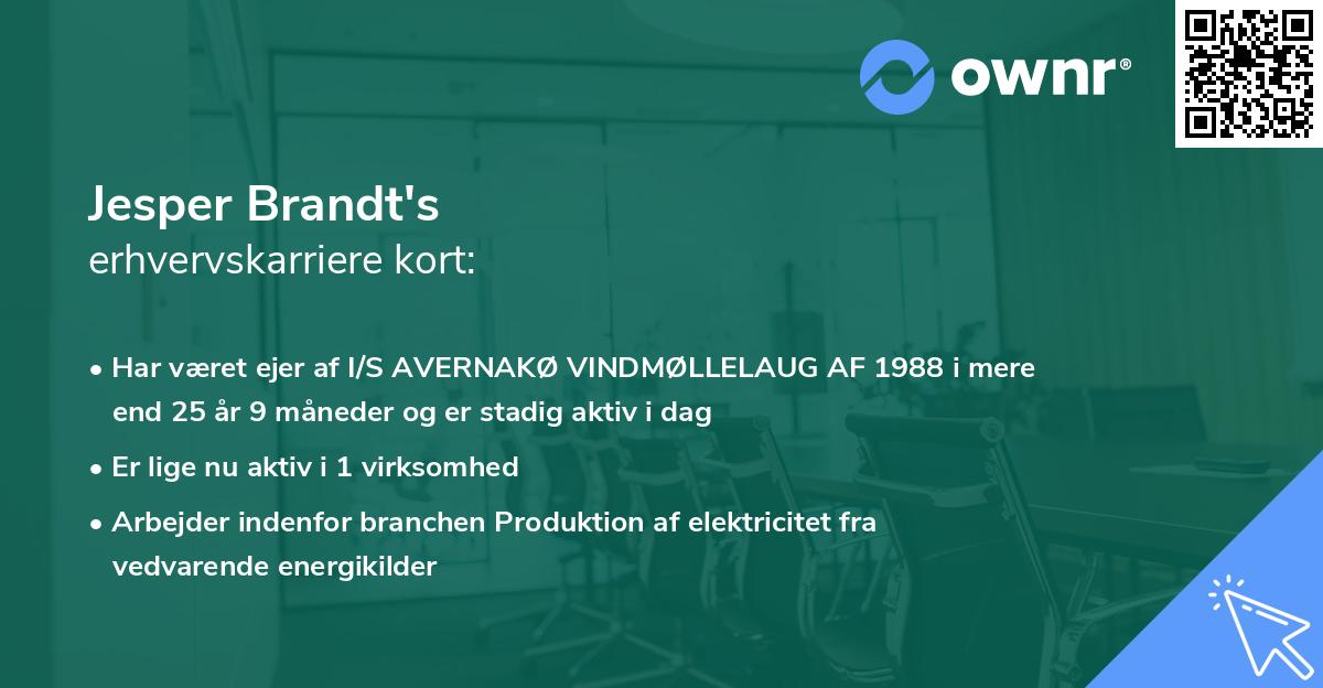 Jesper Brandt's erhvervskarriere kort