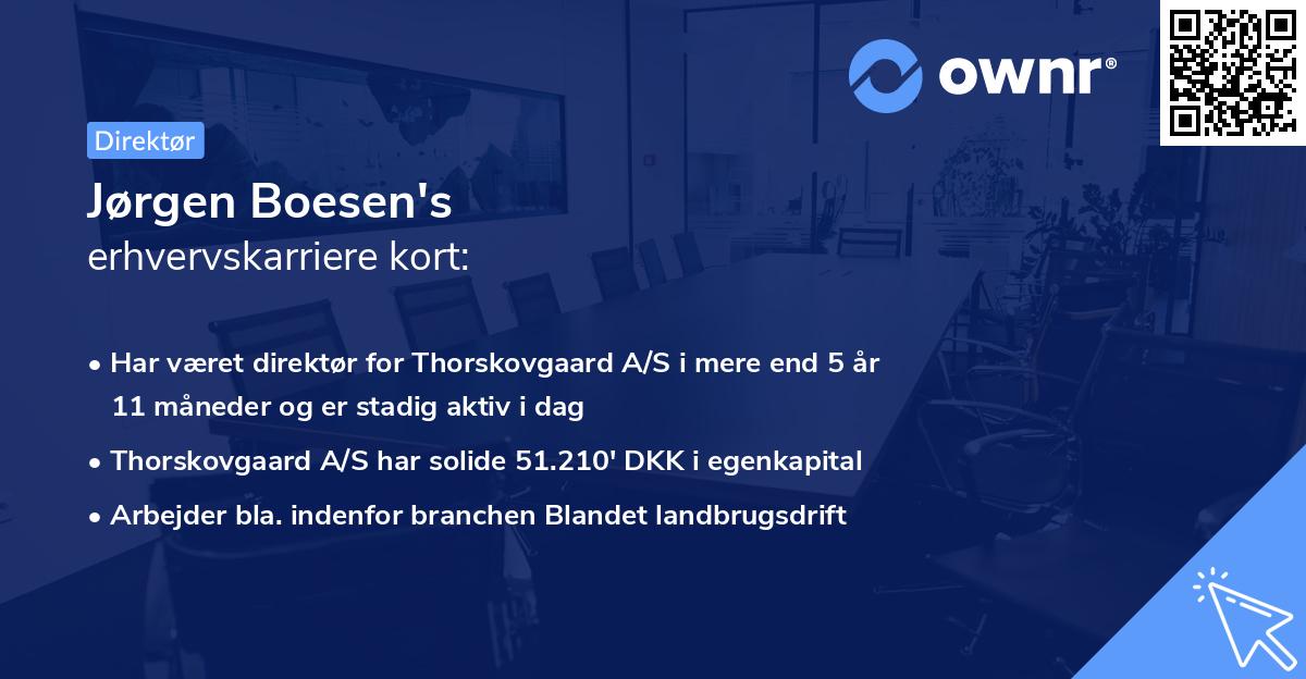 Jørgen Boesen's erhvervskarriere kort