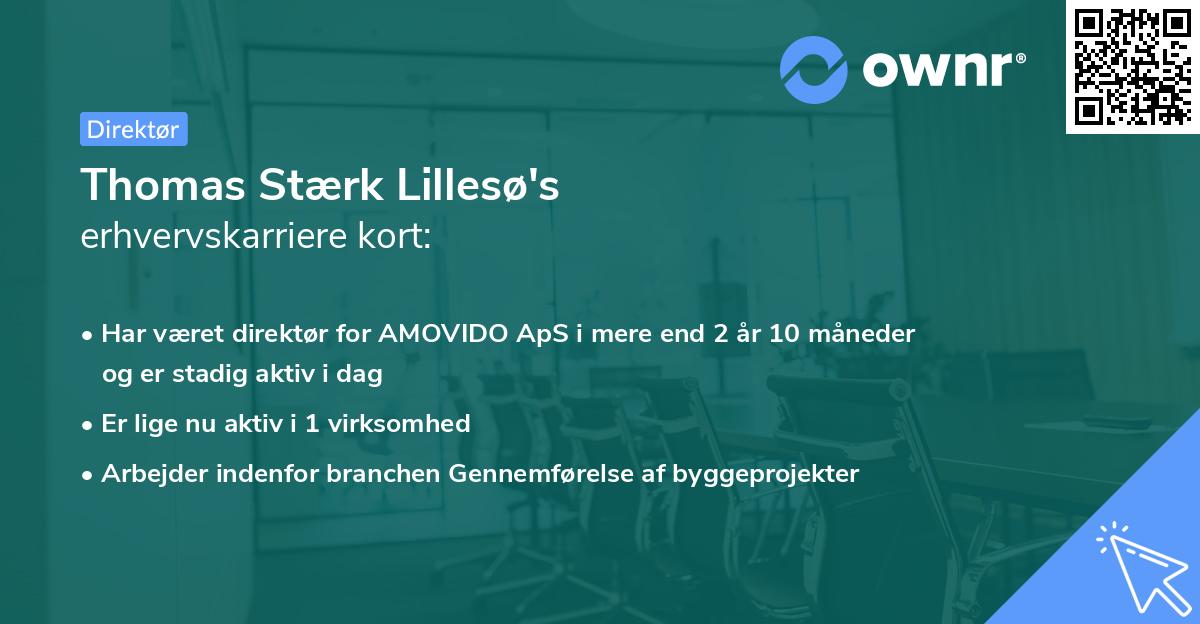 Thomas Stærk Lillesø's erhvervskarriere kort