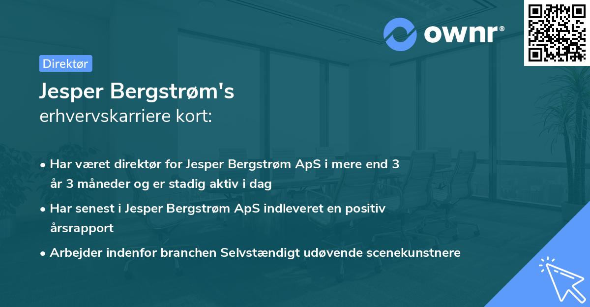 Jesper Bergstrøm's erhvervskarriere kort