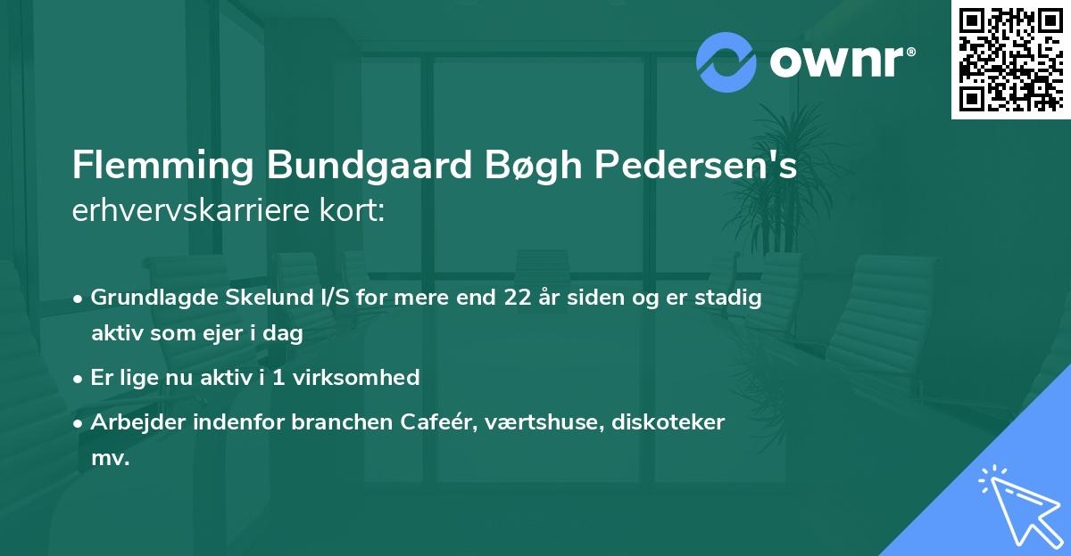 Flemming Bundgaard Bøgh Pedersen's erhvervskarriere kort