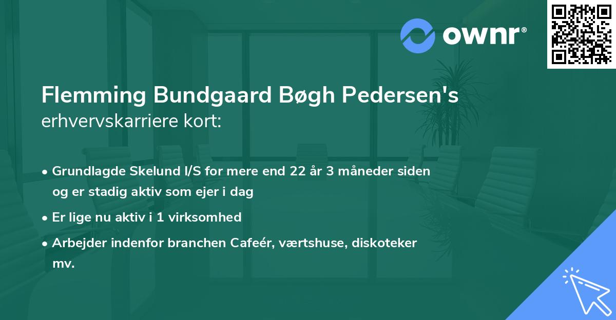 Flemming Bundgaard Bøgh Pedersen's erhvervskarriere kort