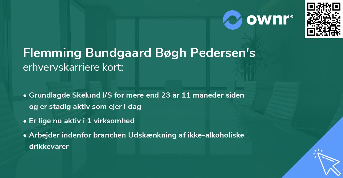 Flemming Bundgaard Bøgh Pedersen's erhvervskarriere kort