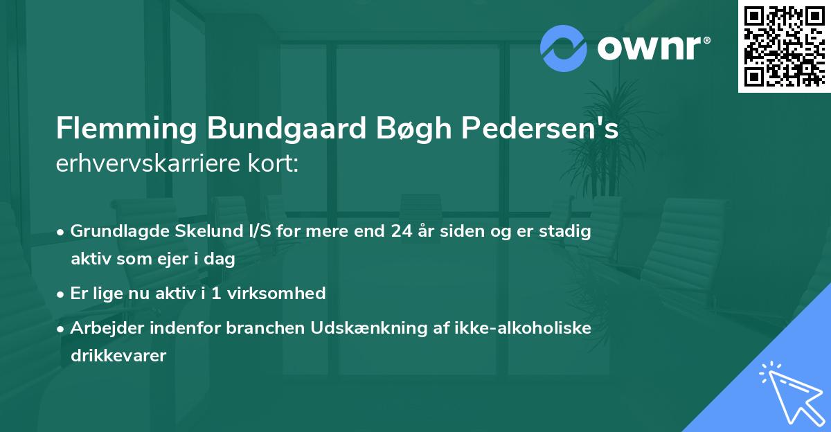 Flemming Bundgaard Bøgh Pedersen's erhvervskarriere kort