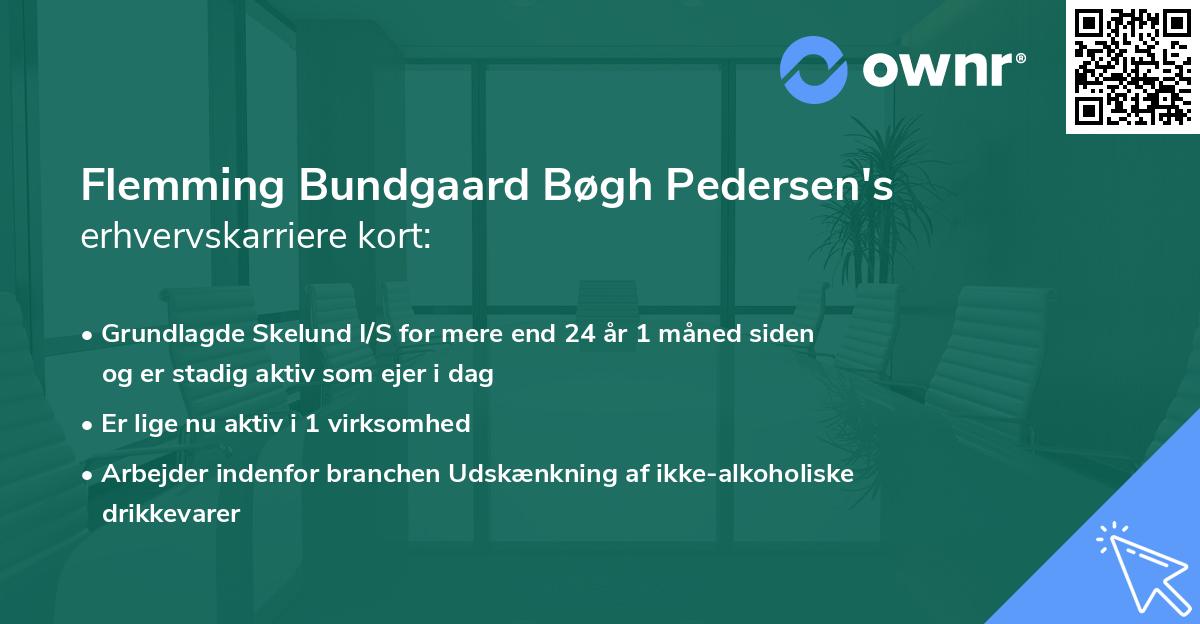 Flemming Bundgaard Bøgh Pedersen's erhvervskarriere kort