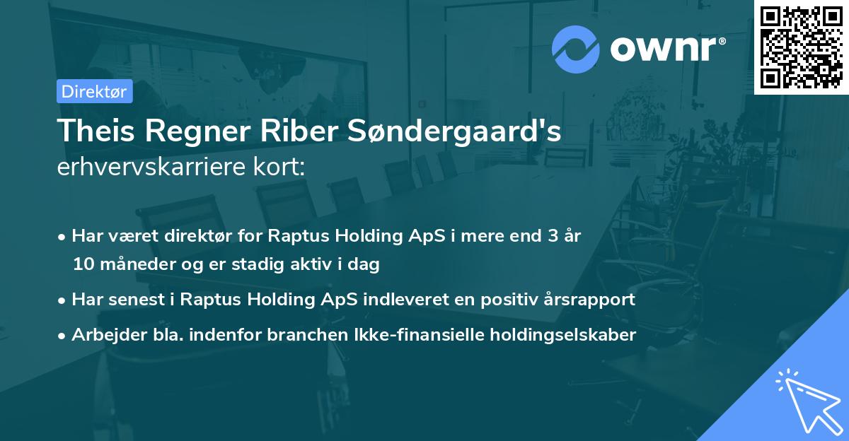 Theis Regner Riber Søndergaard's erhvervskarriere kort