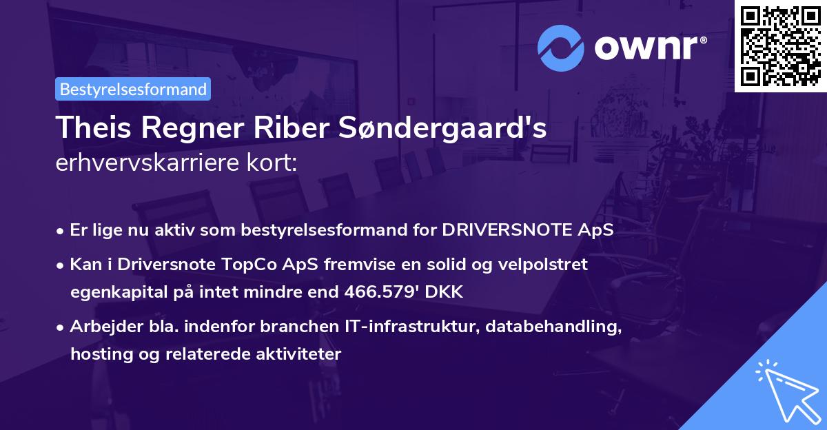 Theis Regner Riber Søndergaard's erhvervskarriere kort