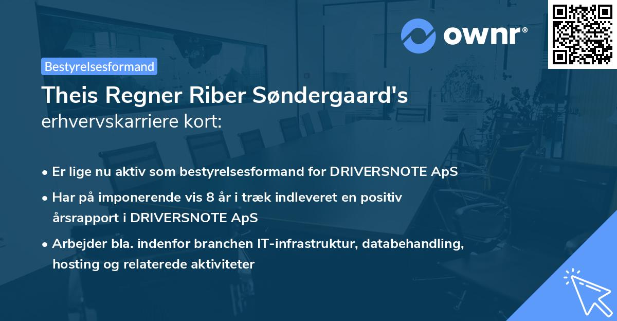 Theis Regner Riber Søndergaard's erhvervskarriere kort