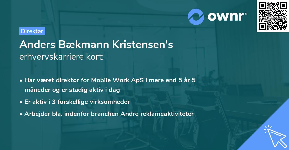 Anders Bækmann Kristensen's erhvervskarriere kort