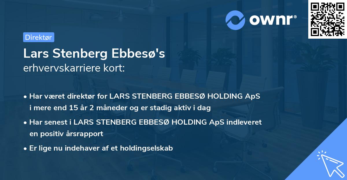 Lars Stenberg Ebbesø's erhvervskarriere kort