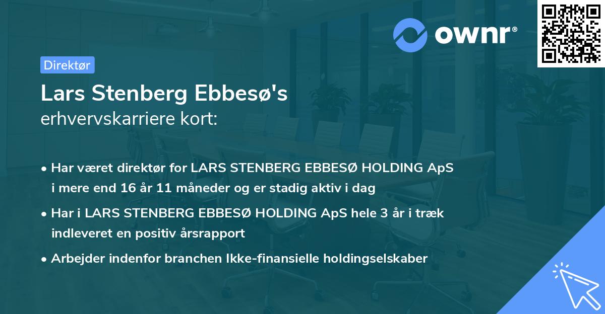 Lars Stenberg Ebbesø's erhvervskarriere kort