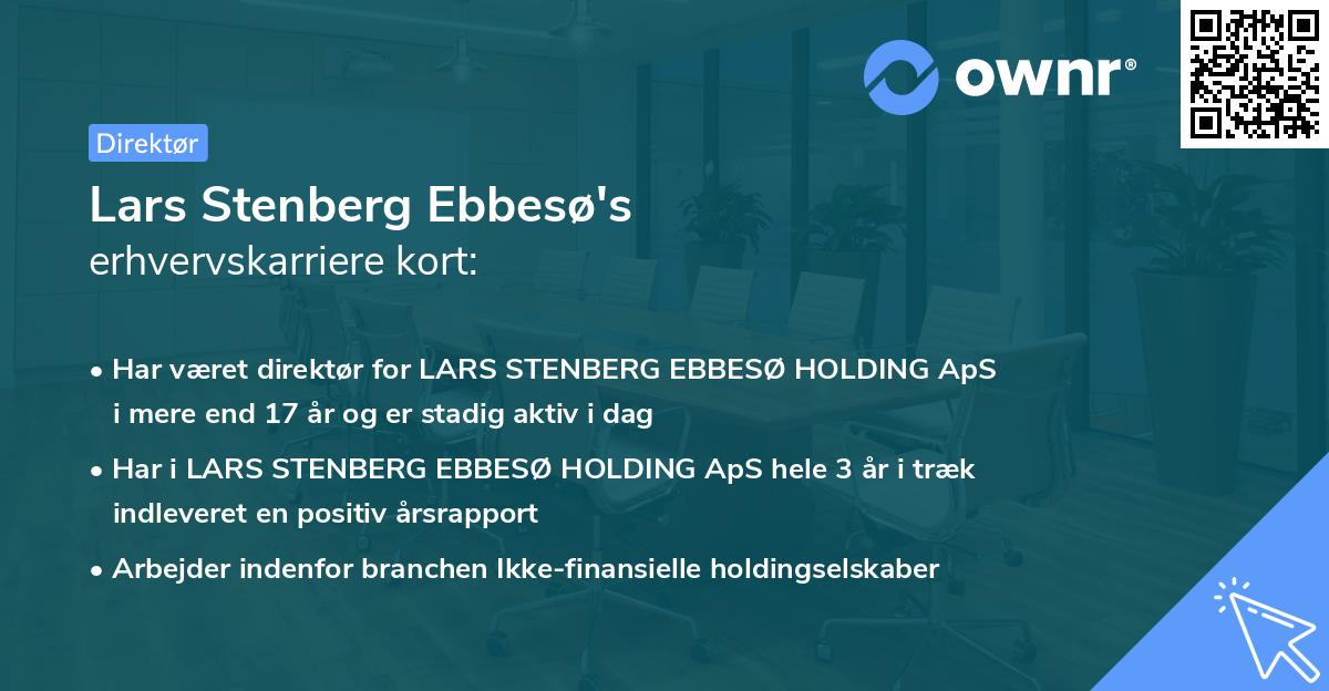 Lars Stenberg Ebbesø's erhvervskarriere kort